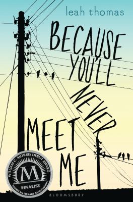 Because you'll never meet me cover image
