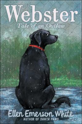 Webster : tale of an outlaw cover image