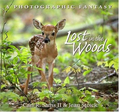 Lost in the woods : a photographic fantasy cover image