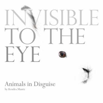 Invisible to the eye : animals in disguise cover image