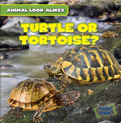 Turtle or tortoise? cover image