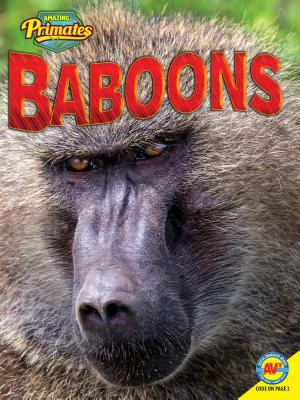 Baboons cover image
