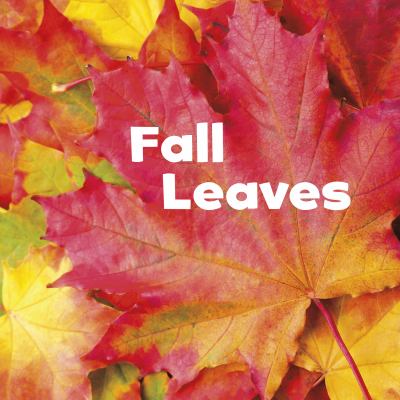 Fall leaves cover image