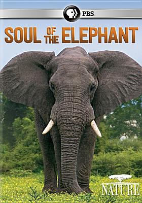 Soul of the elephant cover image
