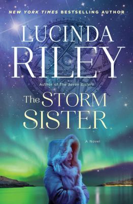The storm sister : Ally's story cover image