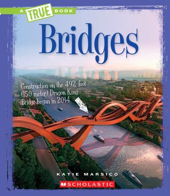 Bridges cover image