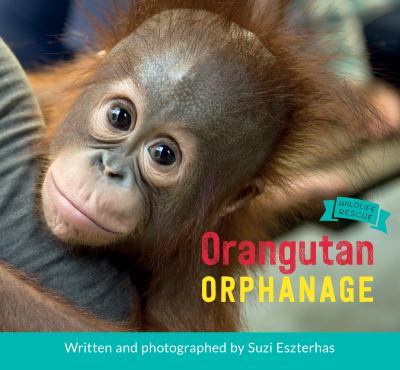 Orangutan orphanage cover image