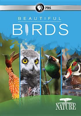 Beautiful birds cover image