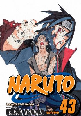 Naruto.  43,   The man with the truth cover image