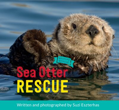 Sea otter rescue cover image