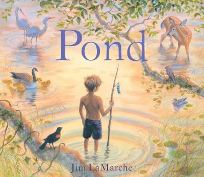 Pond cover image