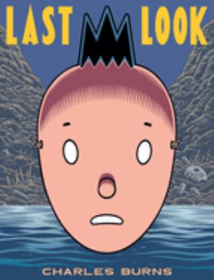 Last look cover image