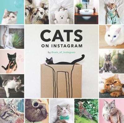 Cats on Instagram cover image