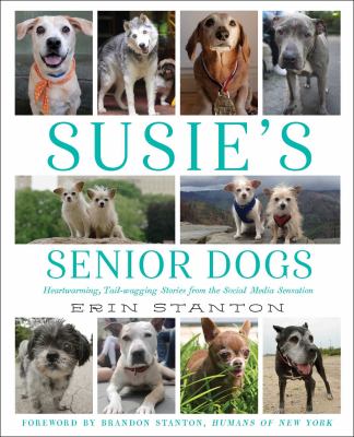 Susie's senior dogs cover image