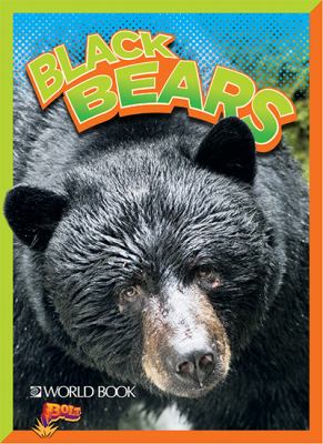 Black bears cover image