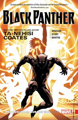 Black Panther. A nation under our feet, Book 2 cover image