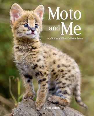 Moto and me : my year as a wildcat's foster mom cover image