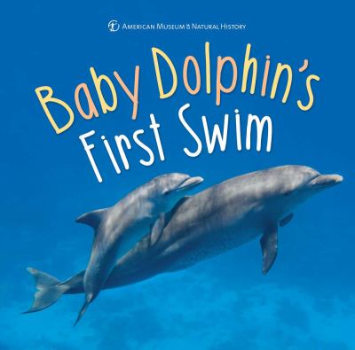 Baby dolphin's first swim cover image