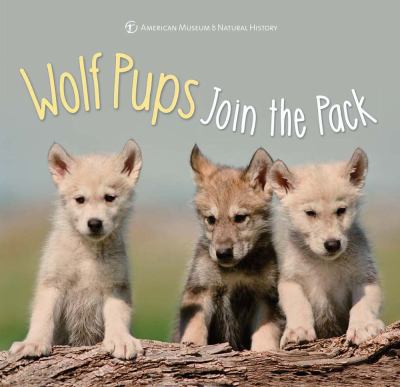 Wolf pups join the pack cover image