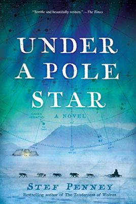 Under a pole star cover image