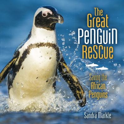 The great penguin rescue : saving the African penguins cover image