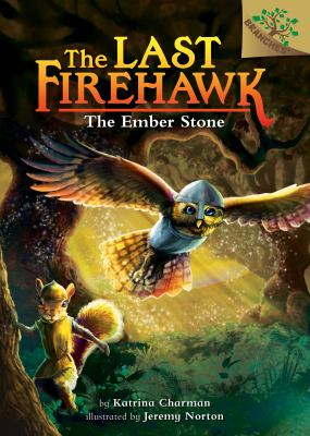 The ember stone cover image