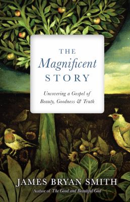 The magnificent story : uncovering a gospel of beauty, goodness, and truth cover image