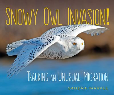 Snowy owl invasion! : tracking an unusual migration cover image