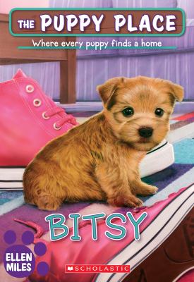 Bitsy cover image