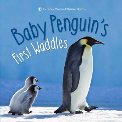 Baby penguin's first waddles cover image