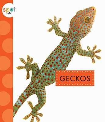 Geckos cover image
