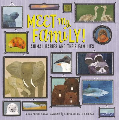 Meet my family! : animal babies and their families cover image