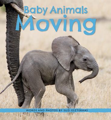 Baby animals moving cover image
