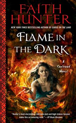Flame in the dark cover image