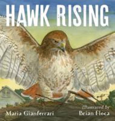 Hawk rising cover image