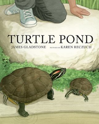Turtle pond cover image