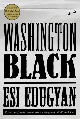 Washington Black cover image