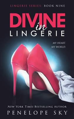 Divine in lingerie cover image
