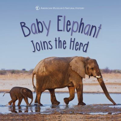 Baby elephant joins the herd cover image