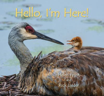 Hello, I'm here! cover image