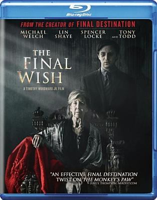The final wish cover image
