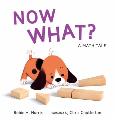 Now What? : a math tale cover image