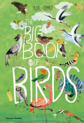 The big book of birds cover image