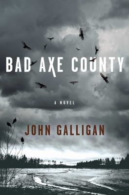 Bad Axe County cover image