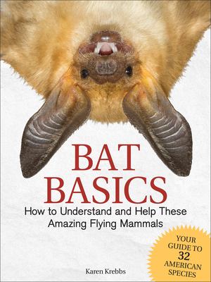 Bat basics : how to understand and help the amazing flying mammals cover image