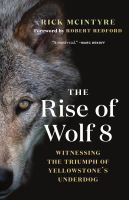 The rise of wolf 8 : witnessing the triumph of Yellowstone's underdog cover image