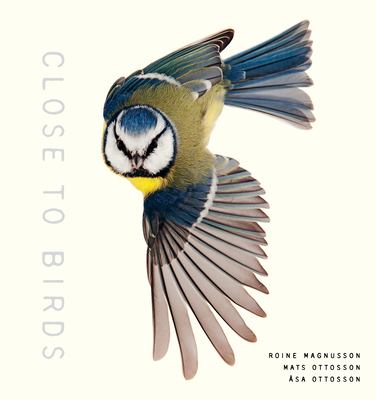 Close to birds : an intimate look at our feathered friends cover image