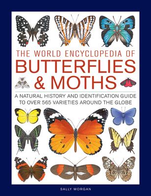 The world encyclopedia of butterflies & moths : a natural history and identification guide to over 565 varieties around the globe cover image