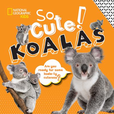 So cute! Koalas cover image