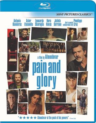Pain and glory cover image